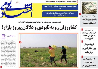 تلفن روزنامه اقتصاد بومی 5 روزنامه اقتصاد بومی